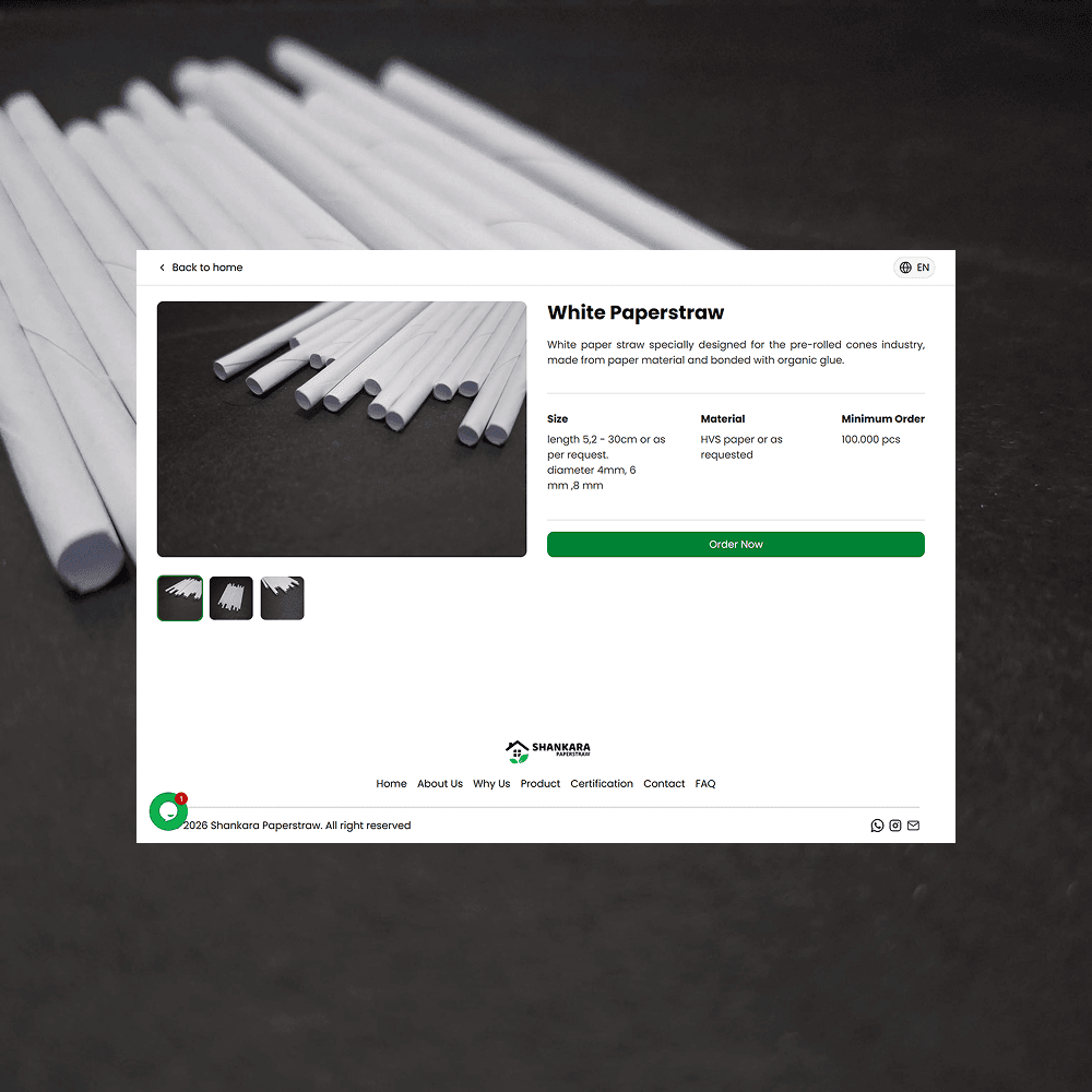 Pengembangan Website & Strategi SEO Global untuk Produsen Paper Straw - Tampilan screenshot 1