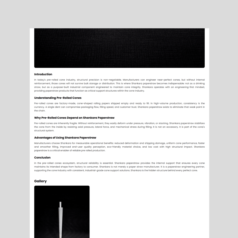 Pengembangan Website & Strategi SEO Global untuk Produsen Paper Straw - Tampilan screenshot 2