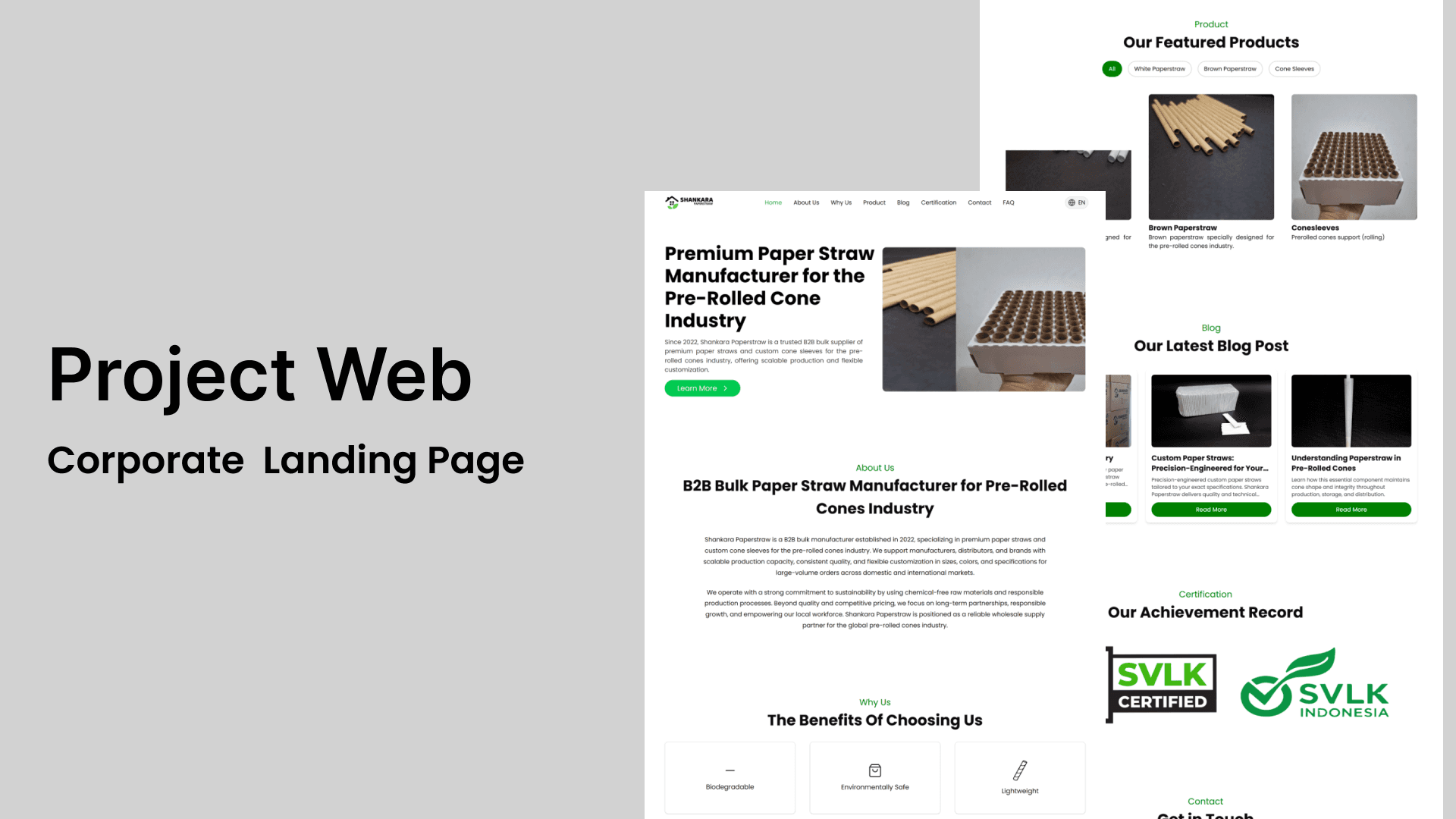 Pengembangan Website & Strategi SEO Global untuk Produsen Paper Straw